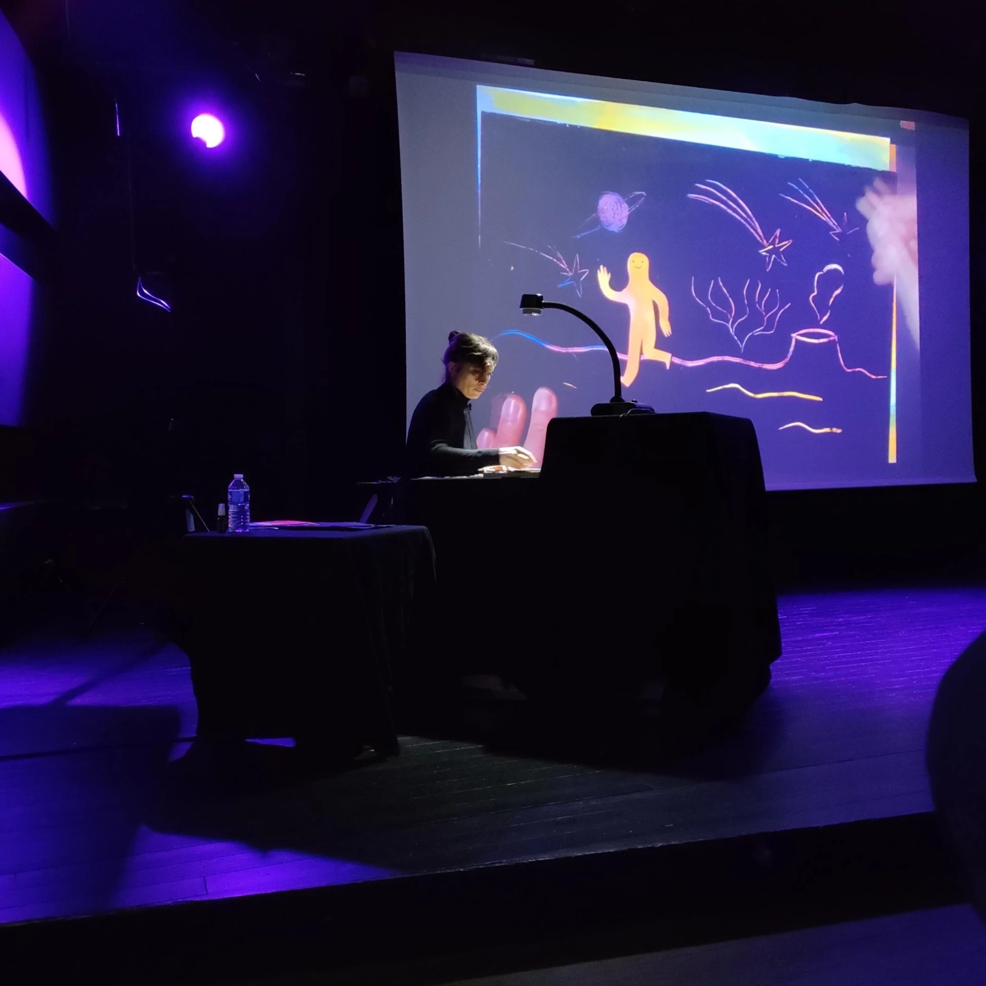 Delphine Perret - Bienvenue chez Vézovèle - spectacle