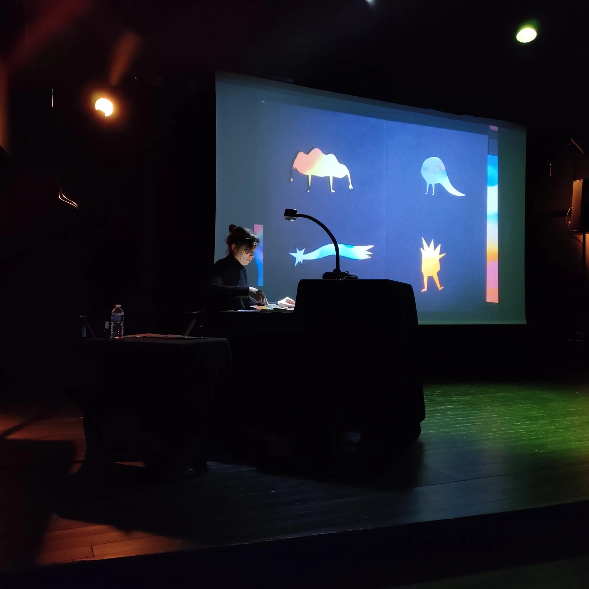 Delphine Perret - Bienvenue chez Vézovèle - spectacle