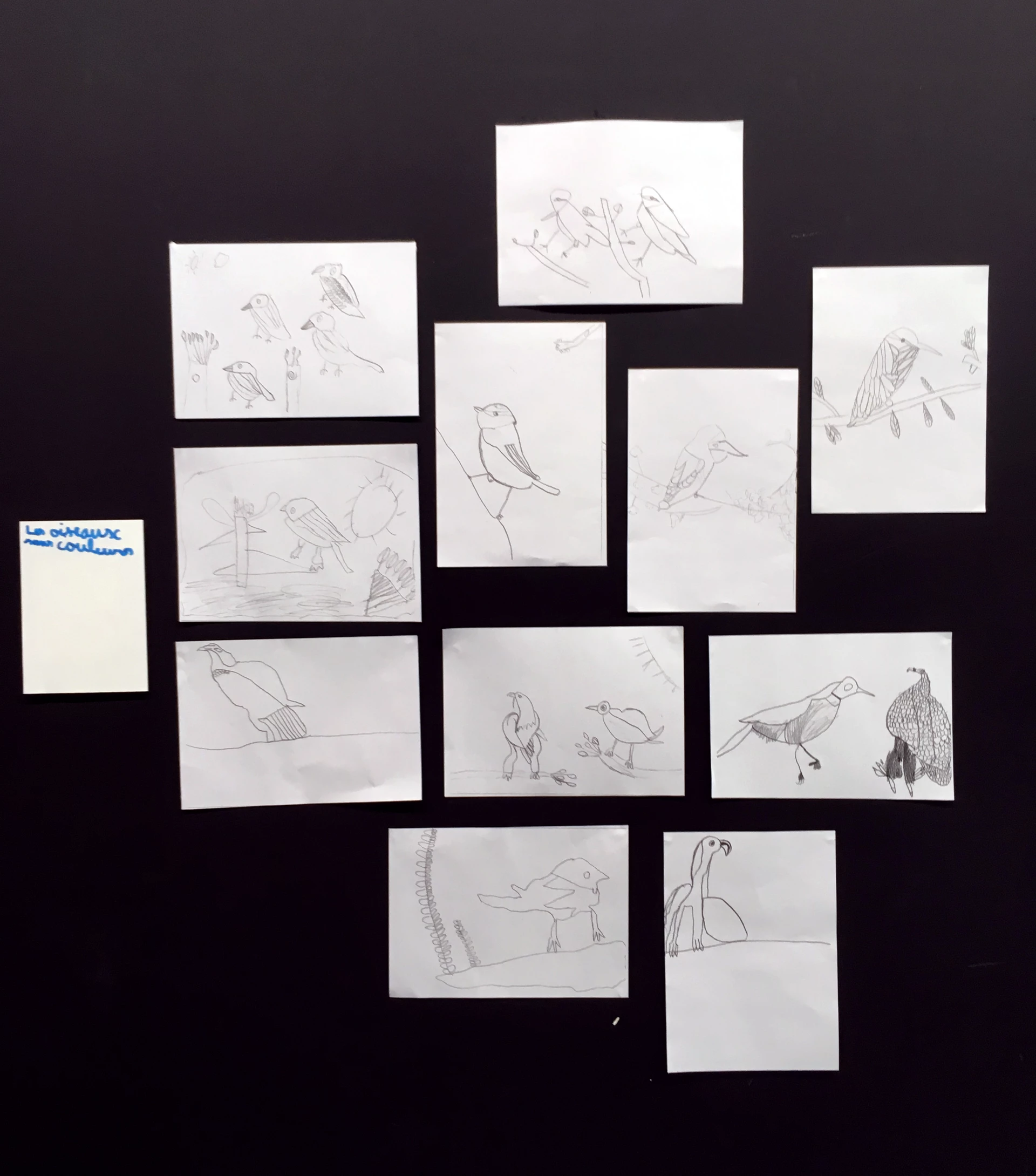 Delphine Perret - EXPO ! - médiation