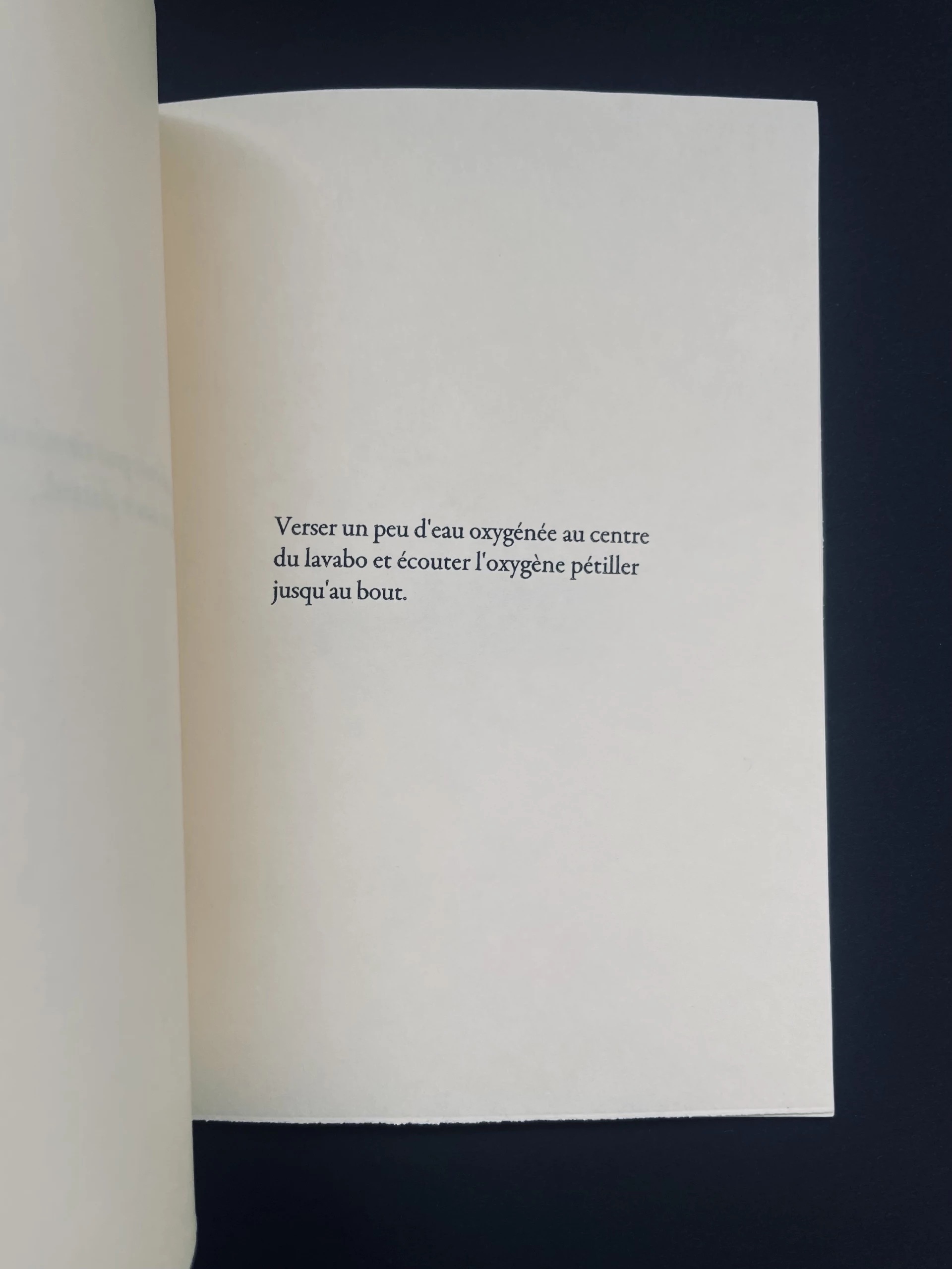 Delphine Perret - Micro expériences ou comment perdre son temps
