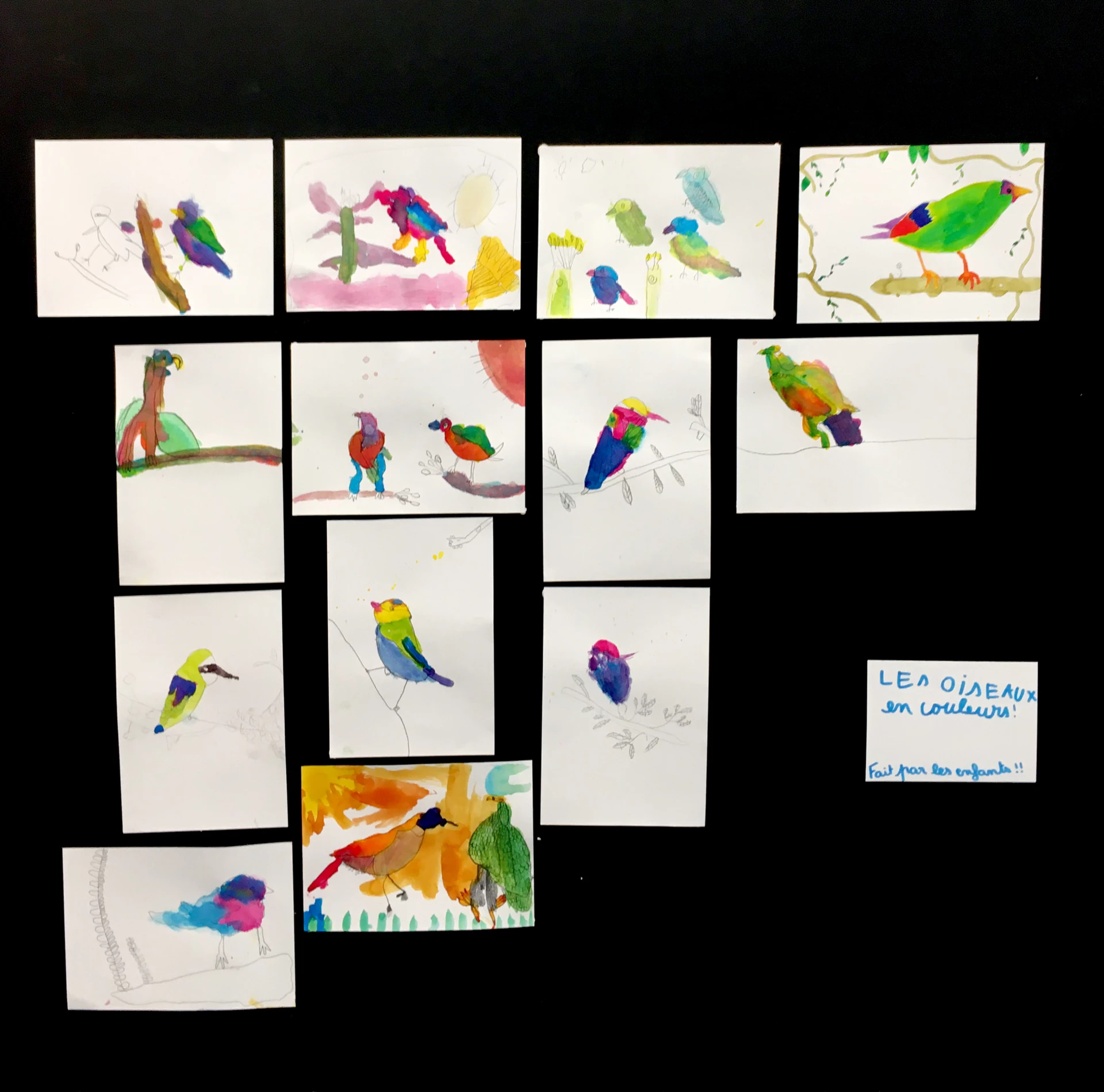 Delphine Perret - EXPO ! - médiation